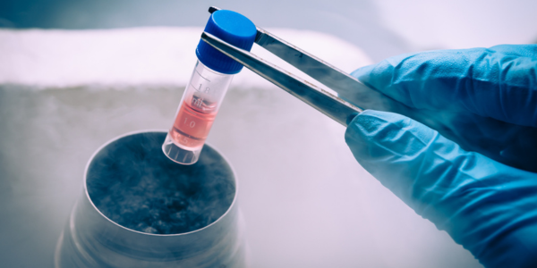 Cryopreservation