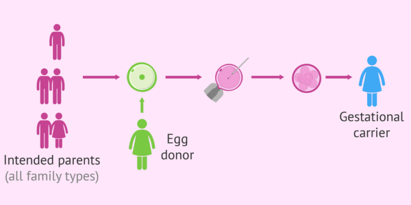 Egg Donation