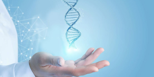 Genetic Factors