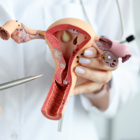 Hysteroscopy and Laparoscopy Icon