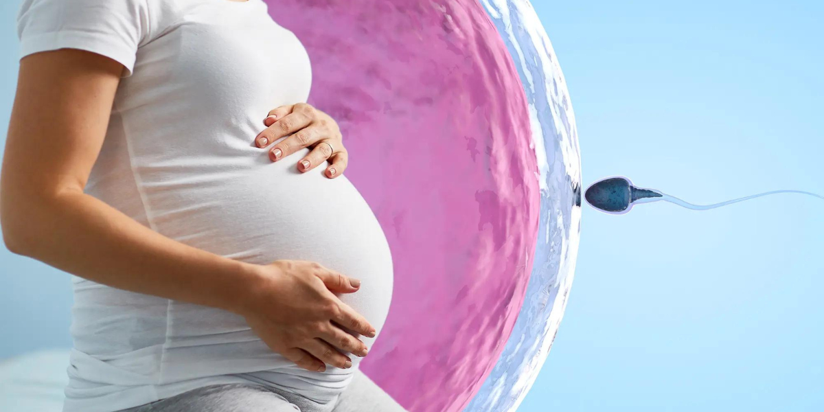 In Vitro Fertilisation (IVF) in Navi Mumbai by Dr. Priya Khamatkar