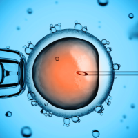 Preimplantation Genetic Testing Icon