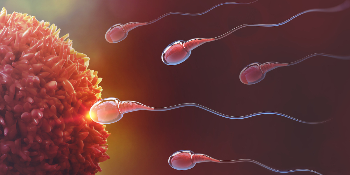 Male Infertility & complex Treatment in Navi Mumbai by Dr. Priya Khamatkar
