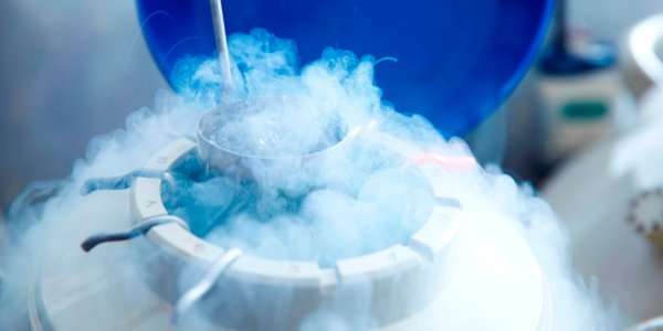 Optimizing IVF Success in Navi Mumbai by Dr. Priya Khamatkar