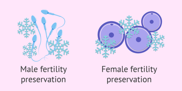 Preserving Fertility in Navi Mumbai by Dr. Priya Khamatkar