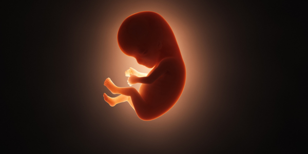Prevent from Recurrent IVF Failures by PGT
