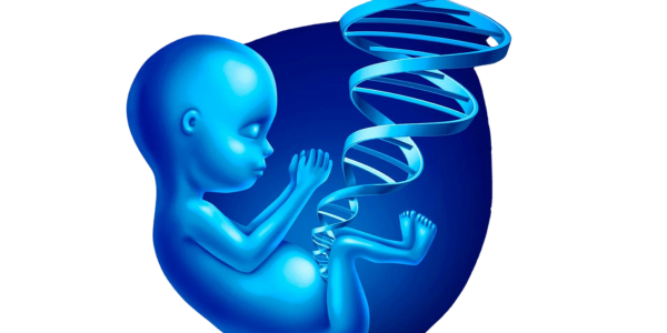 Reducing the Risk of Genetic Disorders by PGT